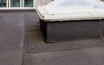 disadvantages of Sixpenny Handley flat roofs
