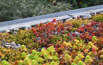 the cost of Sixpenny Handley green roof installation