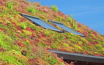 Sixpenny Handley living roof systems