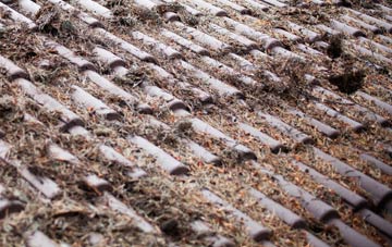 Sixpenny Handley roof cleaning companies